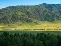 Алтай Green