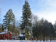 Сенино