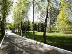 им. Горького (Воронеж)