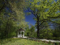 им. Горького (Воронеж)