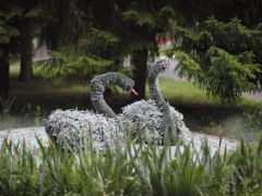 им. Горького (Воронеж)