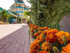 Пальма отель(Адлер)