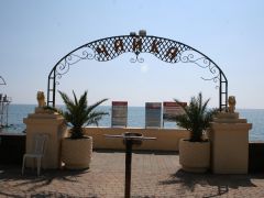 Парадиз на Бестужева