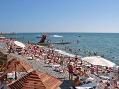 Парадиз на Бестужева