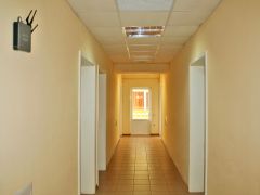 Парадиз на Бестужева