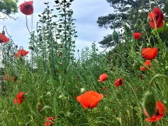 Морской прибой