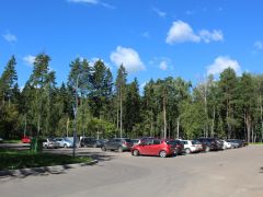 Елочки