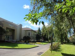 Елочки