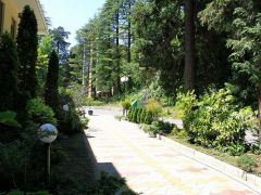 Рест-Мацеста(Сочи)