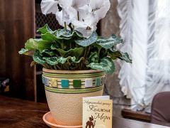 Княжна Мери Медицинский центр