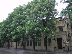 Княжна Мери Медицинский центр