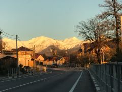 Романовский 