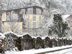 Романовский 