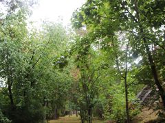 Заклязьменский