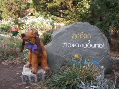 Береговой (Молочное)