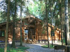 Романов лес