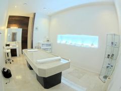 Романов лес