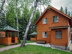 Березовая роща