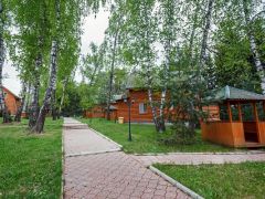 Березовая роща