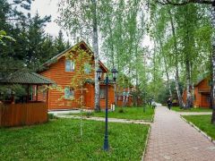 Березовая роща