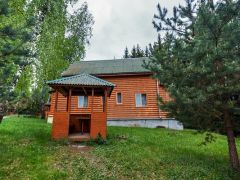 Березовая роща