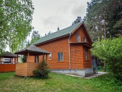 Березовая роща