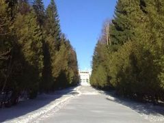 Солнечногорский