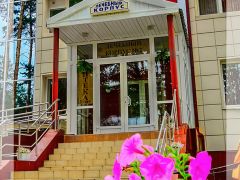 Красная гвоздика