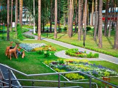 Красная гвоздика