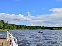 Красная гвоздика