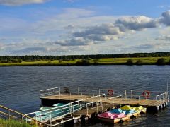 Красная гвоздика