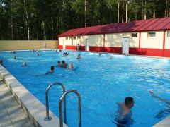 Красная гвоздика