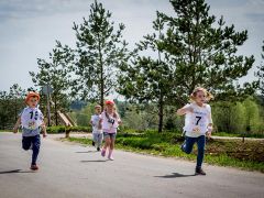 Палисад  отель