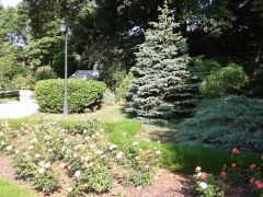 Восток детский оздоровительный лагерь