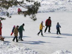 Верхний бор