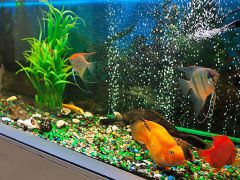 Геолог (Тюмень)