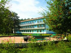 Курьи