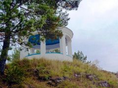 Курьи