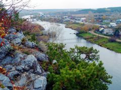 Курьи