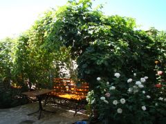 Виктория (Николаевка)