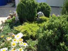 Виктория (Николаевка)