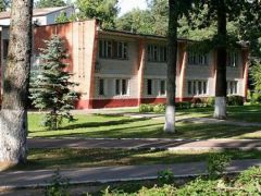 Снежка