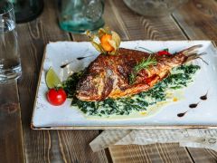 АНДЕРСЕН (Домбай)