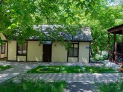 Сосновый бор (Архипо-Ос)