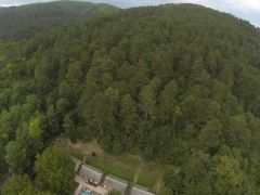 Сосновый бор (Архипо-Ос)