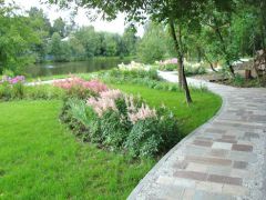 Ревиталь Парк