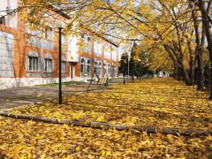 Центросоюз РФ г.Белокуриха