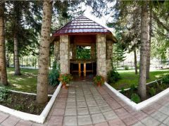 Старые друзья