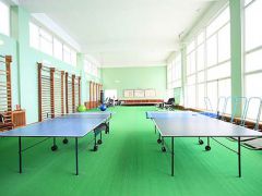 Родина(бывший сан.Украина)