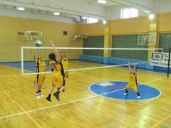 Ателика Сосновый бор
